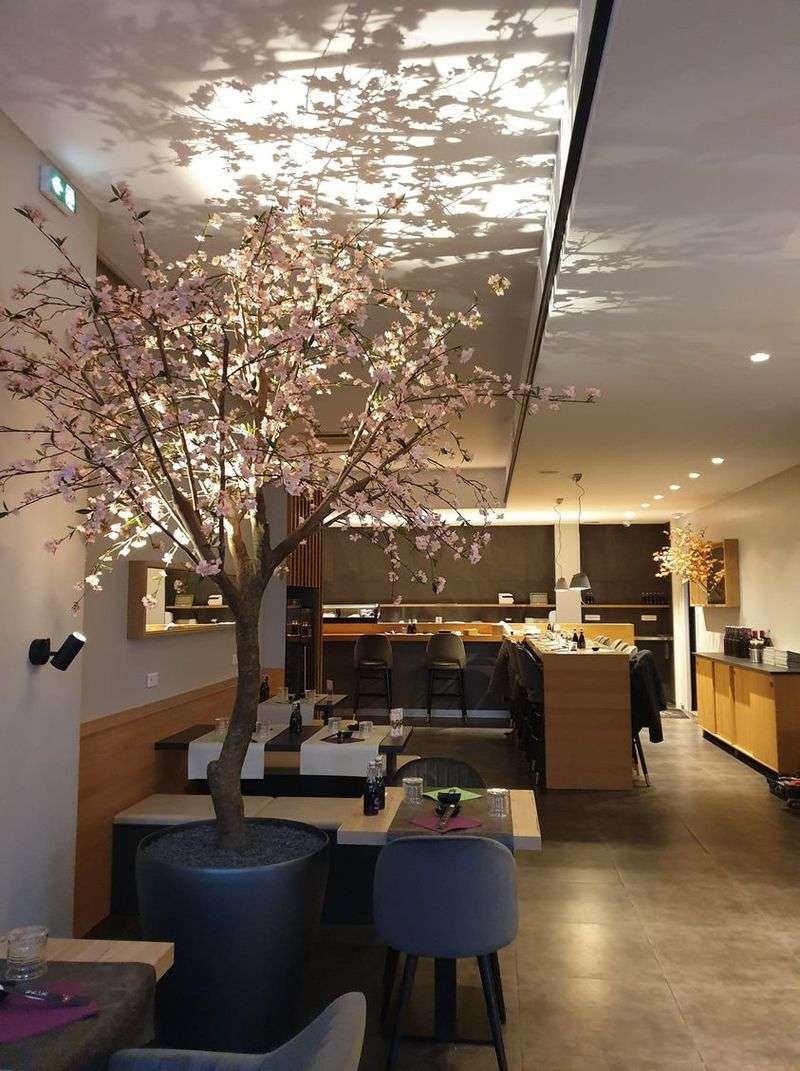 LUMIERESDUPACIFIQUE_56 | Les Lumières Du Pacifique Photos page d’accueil Sélestat 11