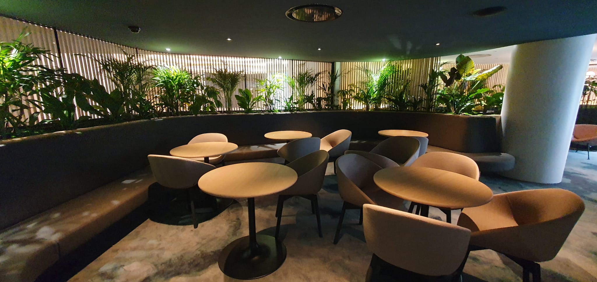 Doxis restaurant lumière